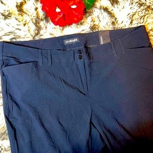 Lane Bryant Classic Trouser Sz 26 Petite Black NWT